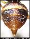 Bactrocera biguttula Bezzi, 1922