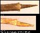 Dacus schoutedeni Collart, 1935