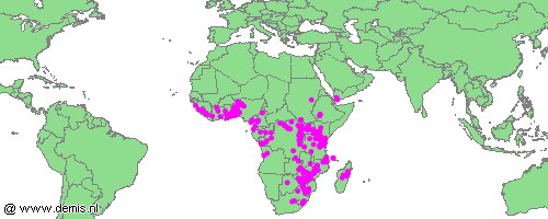 Distribution map