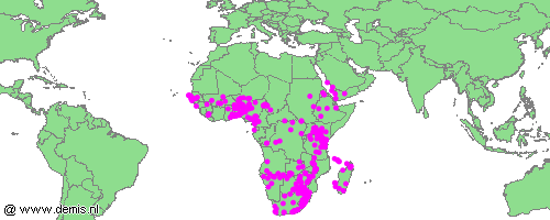 Distribution map